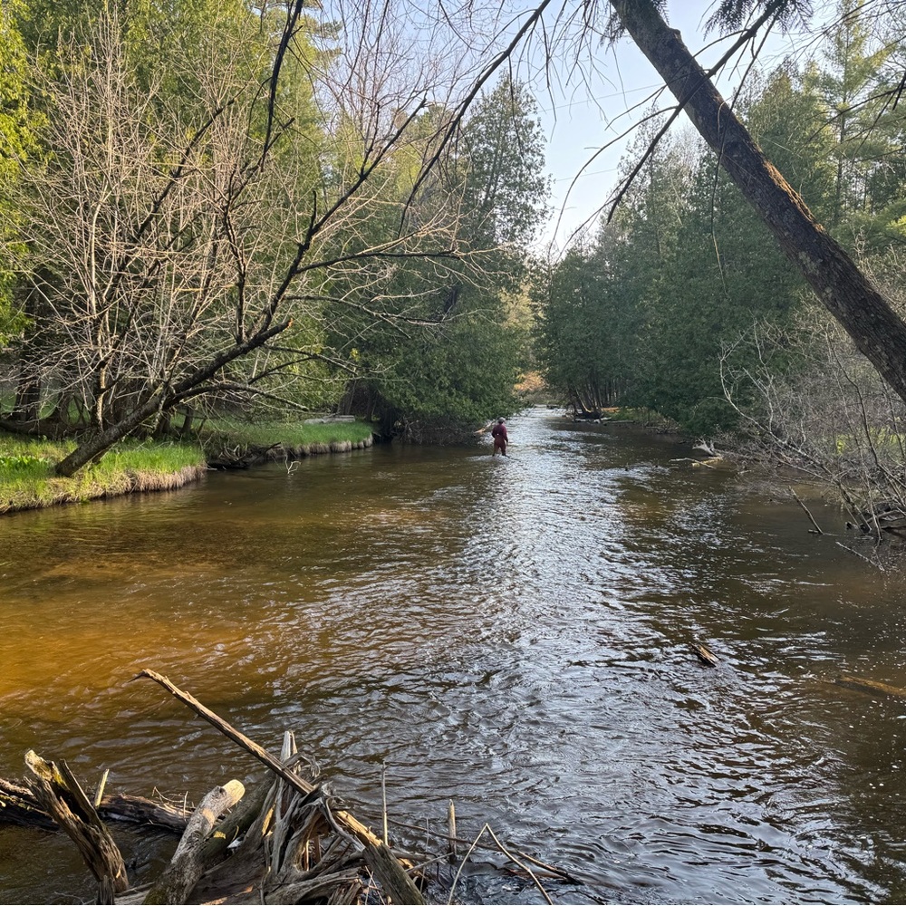 Meet your Posher, Kameron